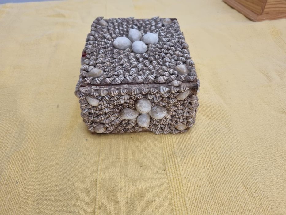 Caixa Antiga de Conchas medidas nas fotos
