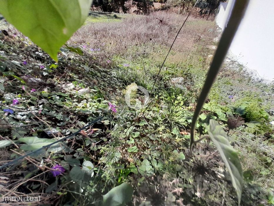 Terreno para Moradia em Balazar 300m2, Póvoa de Varzim — Balazar, Porto
