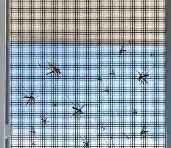 Moskitiery na okna - SZYBKO I SKUTECZNIE! - Realizacja JUŻ W 2 DNI !!