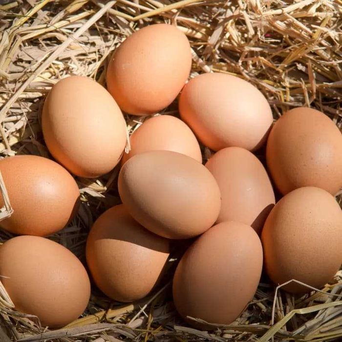 Pyszne Jajka wiejskie z własnej hodowli