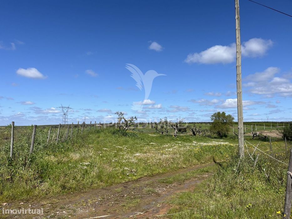 Terreno Rústico de 0,65 Hect — Alfundão E Peroguarda, Beja