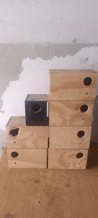 Ninhos de agapórnis e piriquito