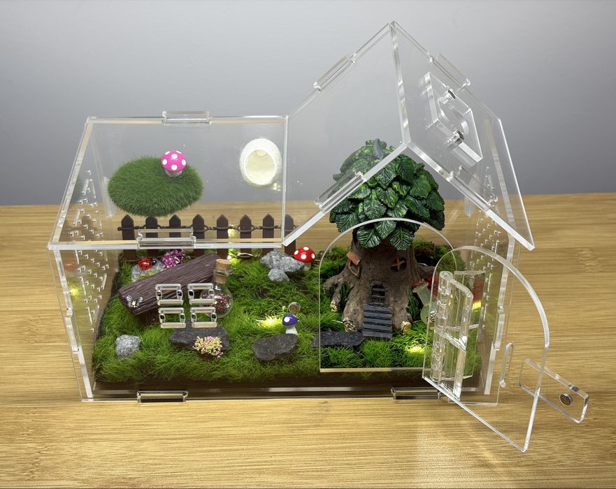 Terrarium dla skakuna pająka