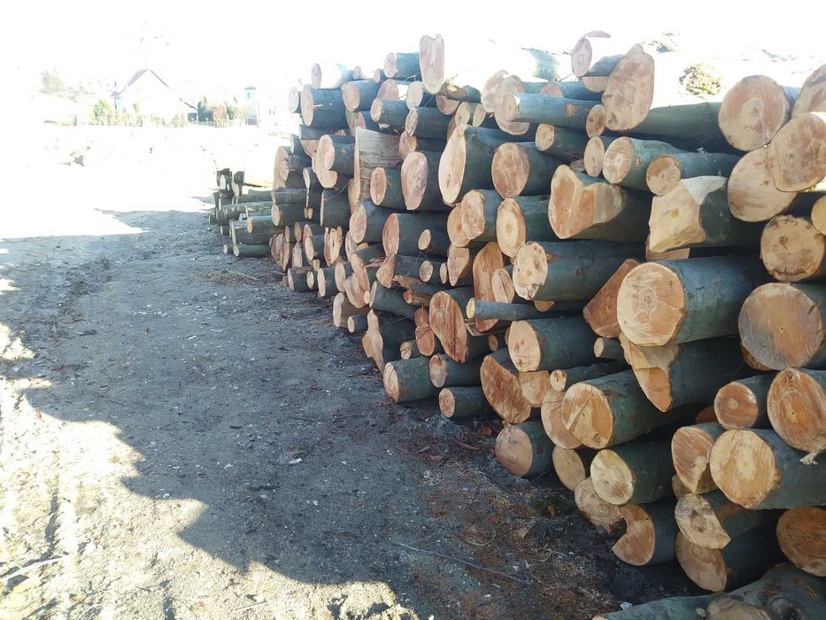 Drewno kominkowe Buk,Grab i inne