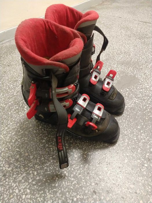 Buty do nart Nordica Next RS