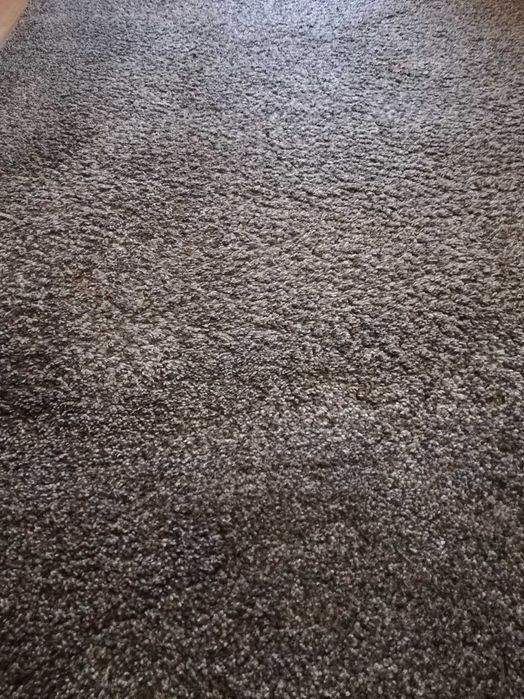 Carpete de sala em bom estado lavada por profissional