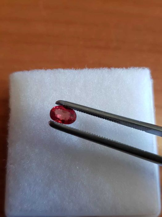 Safira Vermelho 0.77 Kilates Pedra Preciosa Certificado pelo IGI
