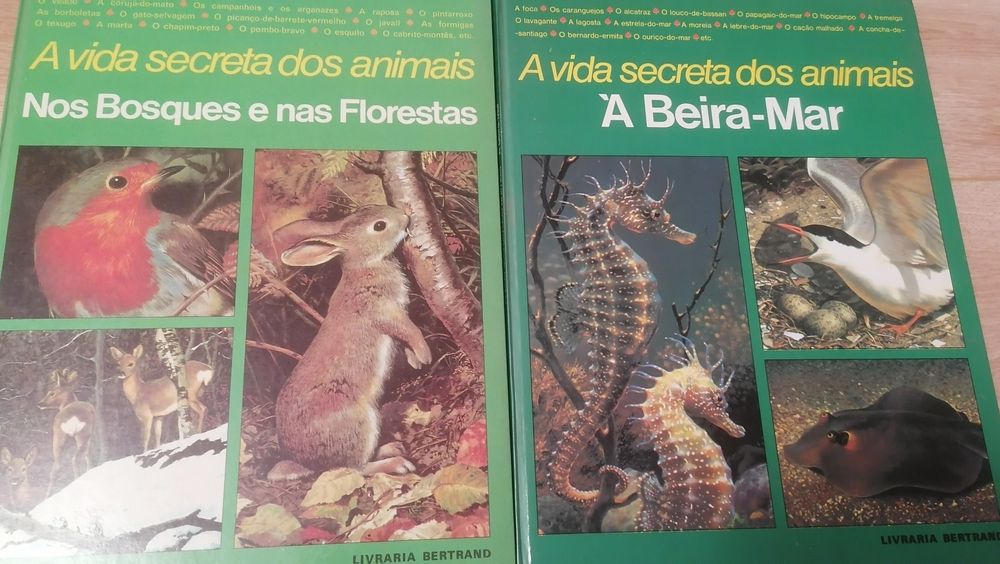 Livros infantis variados