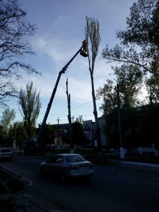 Спилити Обрізати Дерево Чернівці.Чистка ділянок.