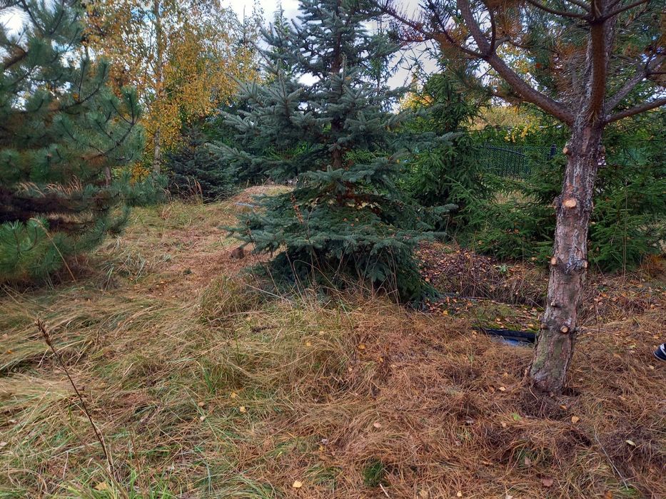 Działka nad jeziorem Lgińskim