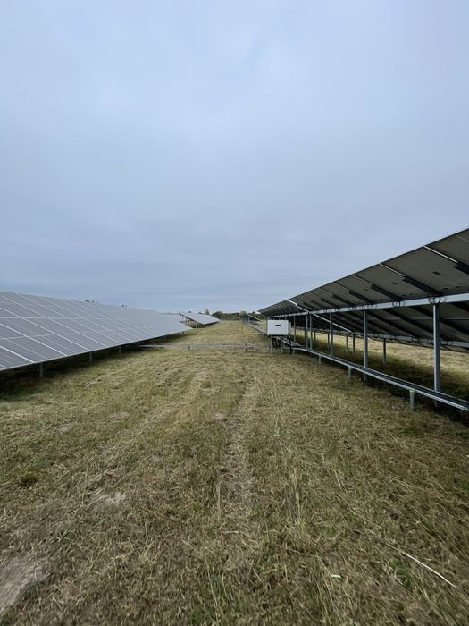 Koszenie, przycinanie  - prace porządkowe