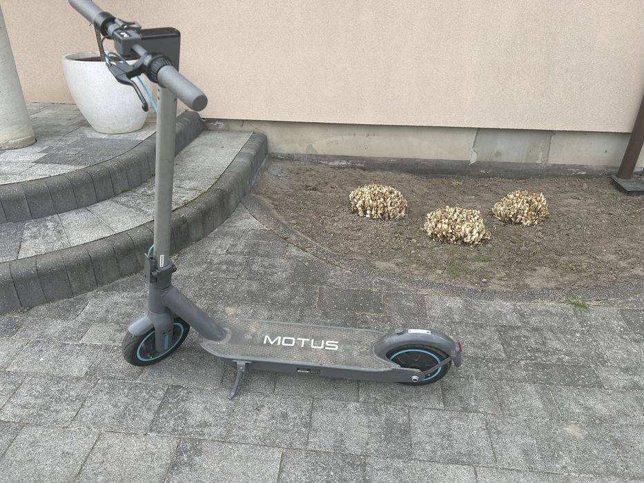 Hulajnoga Motus Scooty 10 2022 (350W)