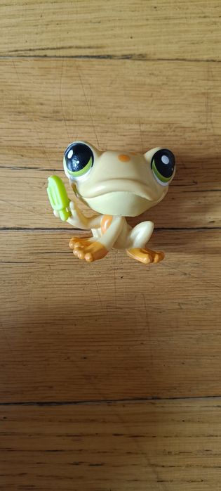 Pet shop żabka z lodem