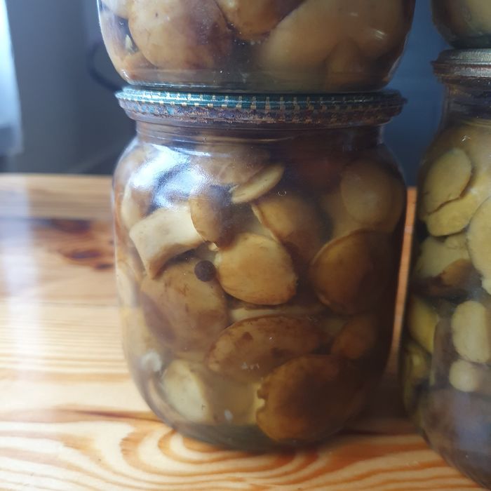 Гриби мариновані. Польський.