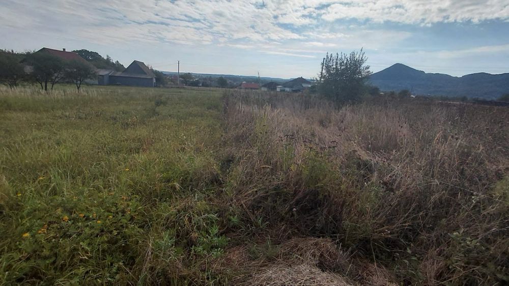 Земельна ділянка 0,12 га смт. Берегомет вул. Вижницька