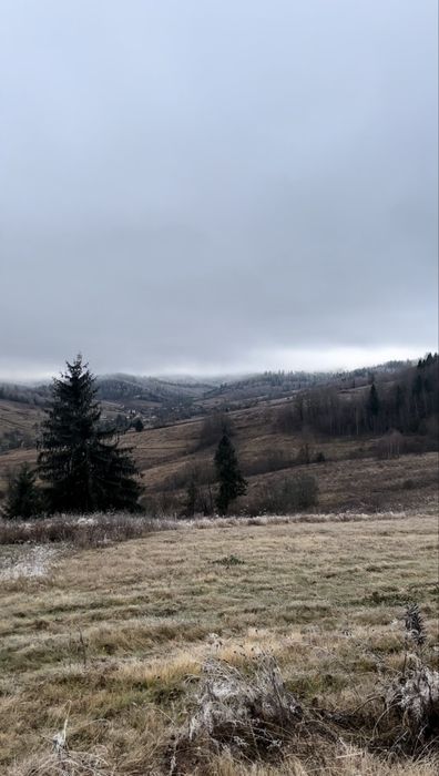 Продаж будинку з брусу 90 кв.м у Карпатах