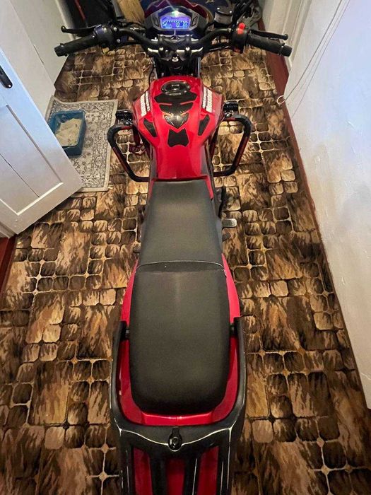 Mustang Fortuna 200,2024 року