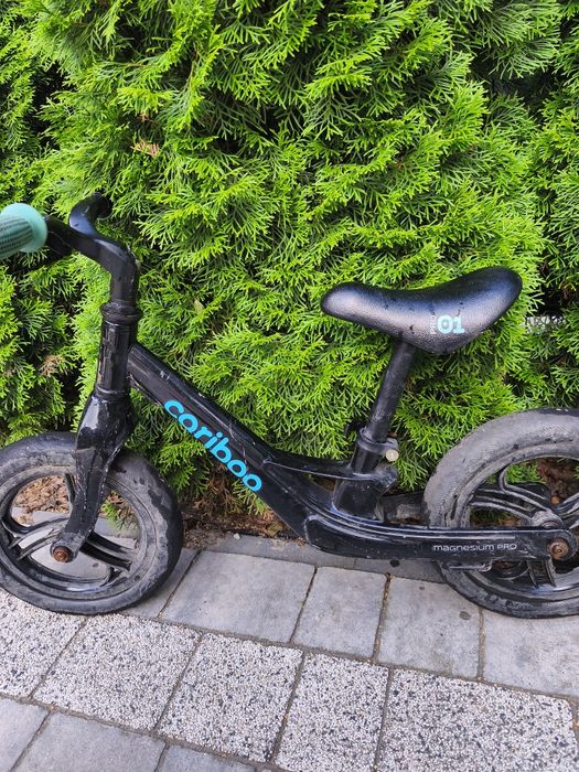 Caribo magnesium pro