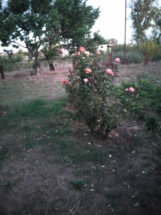 Продам дом пос.Рыбасово