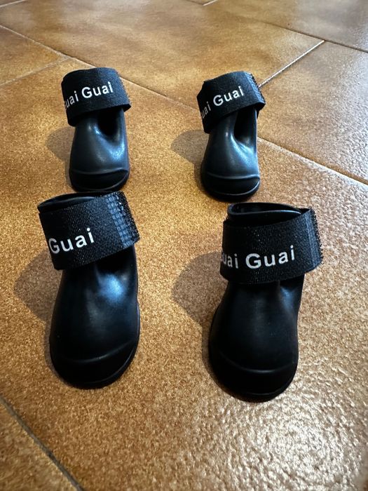 Sapatos para cães