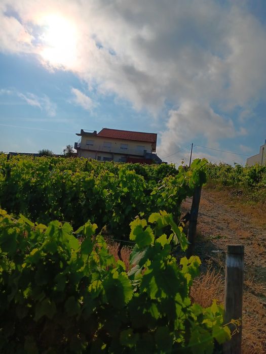 Quinta em São João da Pesqueira