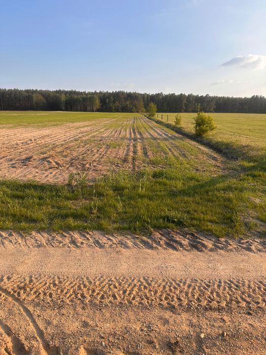 Działka cicha okolica 30 ar