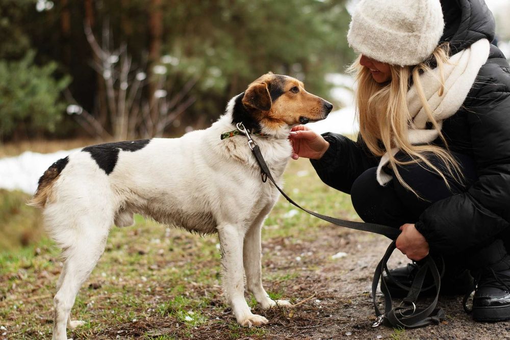 IZARI - już nie smutny, pełen wiary w człowieka łaciatek