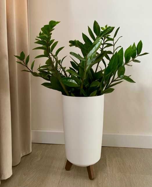 Zestaw 3 donic doniczek białych na nóżkach na kwiaty kwiatki rośliny