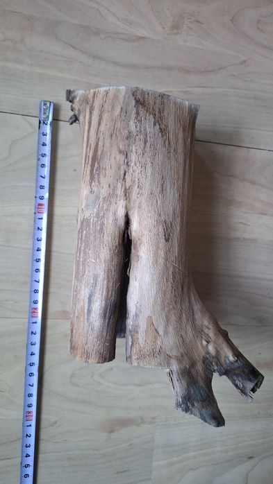 Wyposażenie terrarium, konar, drapak