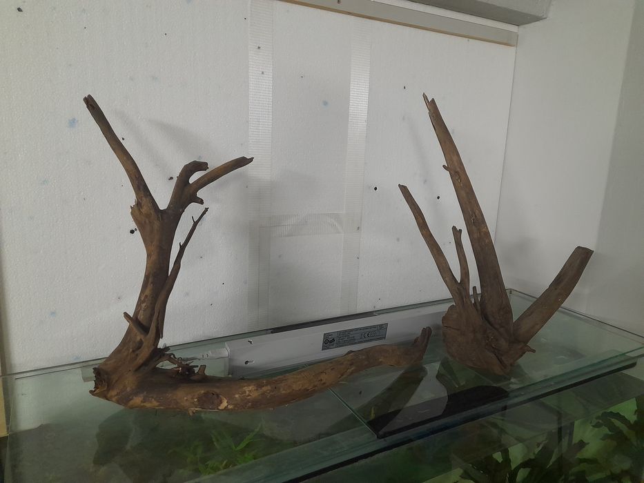 Korzenie do akwarium , naturalne