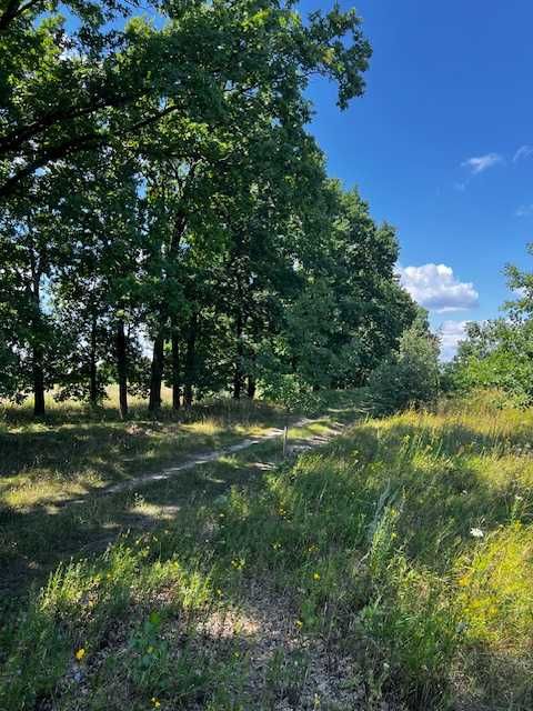 Продаються ділянки  біля села Озера Бучанського району.