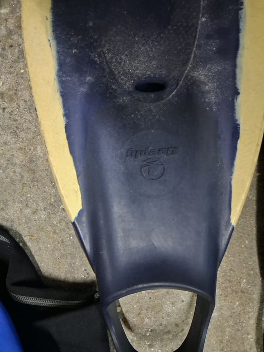 Prancha  de bodyboard e fato e barbatanas