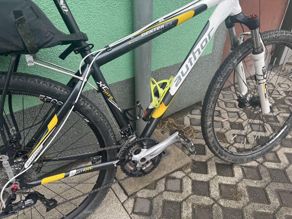 Author Dexster 29er 19