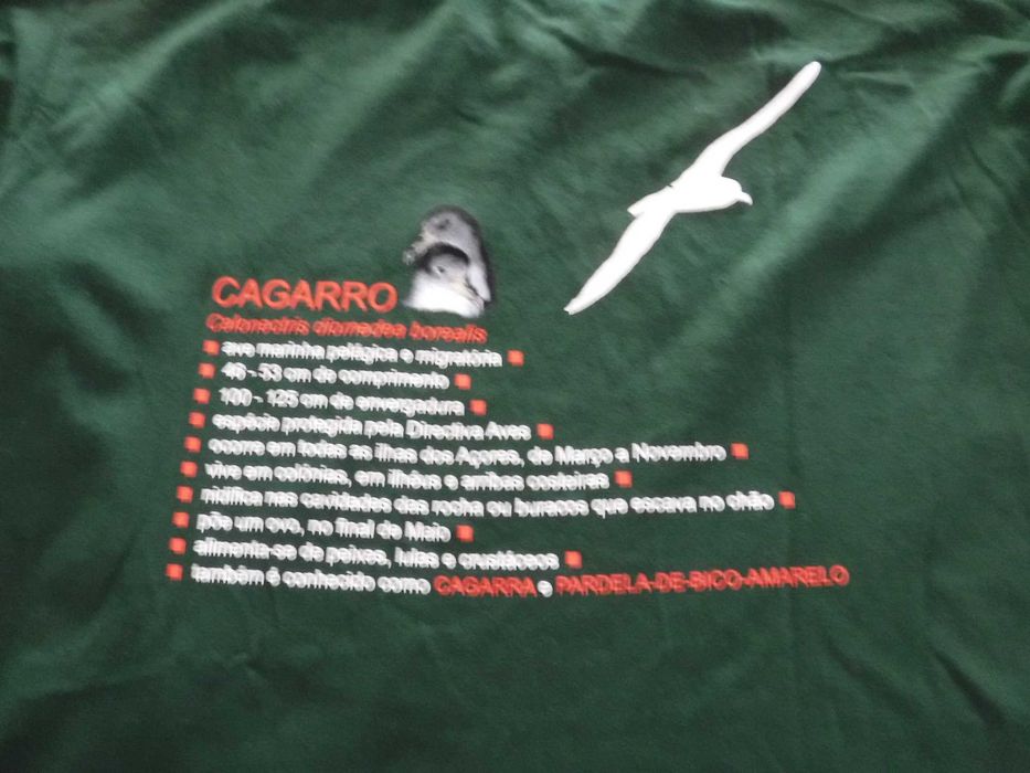 T-shirt Aves Cagarro Calonectris diomedea borialis - NOVA