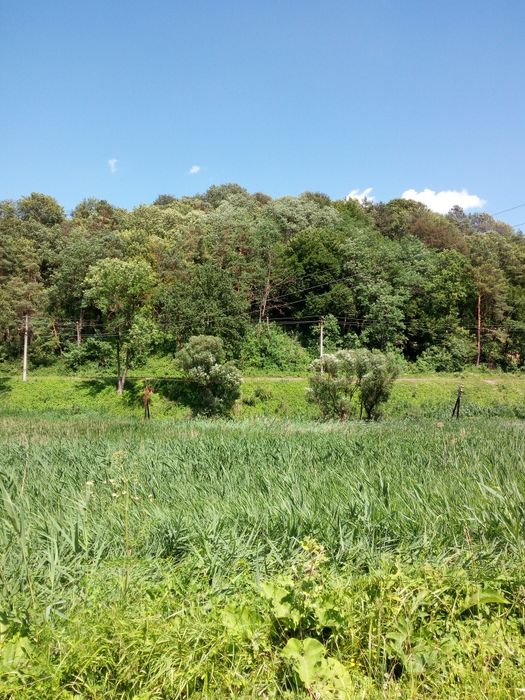 Продаж ділянки 12 сот. Бірки