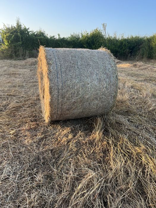 Rolos de feno 2025