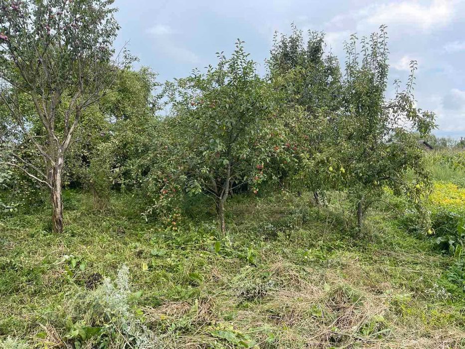 Продаж земельної ділянки під забудову с. Горпин Кам'янка-Бузький район