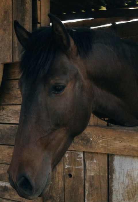 Vendo ou troco por roulote