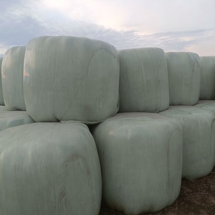 Sianokiszonka z traw