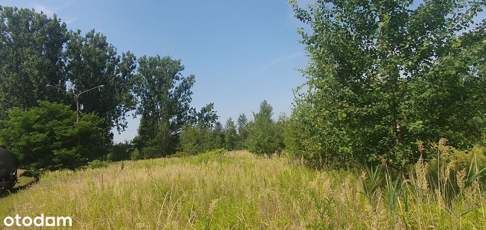Działka, Zabrze