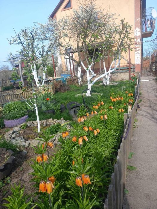 Будинок біля Чорноморська, СТ ПРИМОРСЬКИЙ