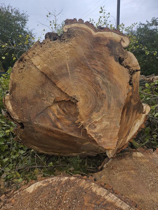 Видалення дерев,підрізання,благоустрій.