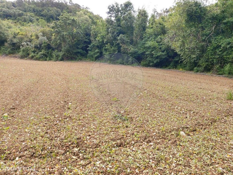 Terreno  para venda