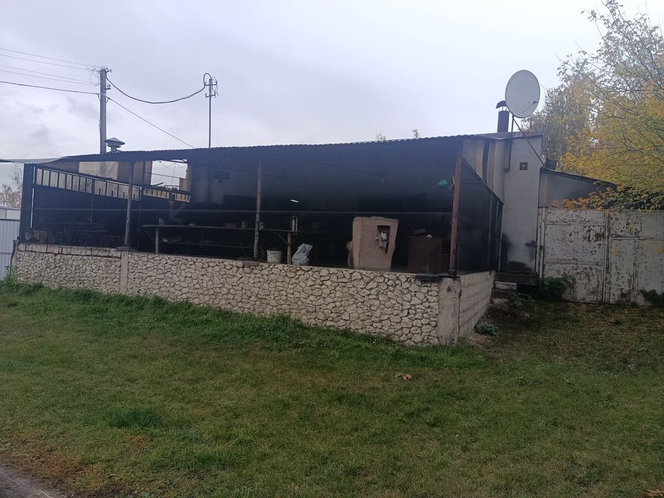 Працюючий бізнес Кузня