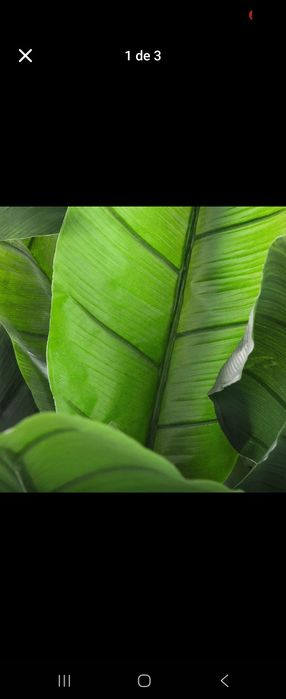 Bananeiras lindissimas artificiais para decorações