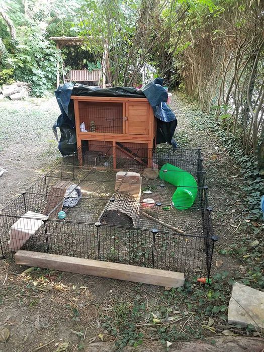 Wybieg klatka zagroda dla świnek chomików szczura psa kota