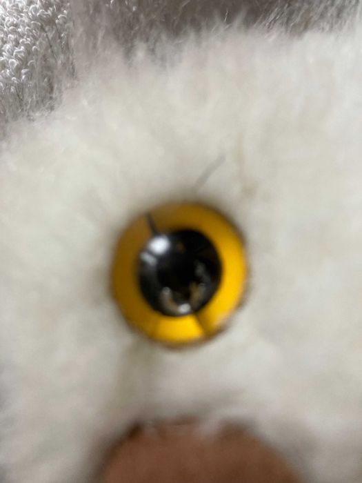 Maskotka Pluszak Sowa