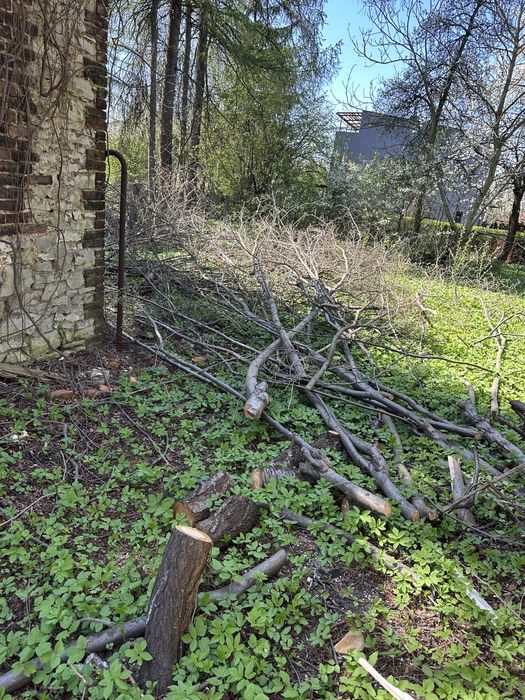 Oddam za darmo drewno i deski na opal