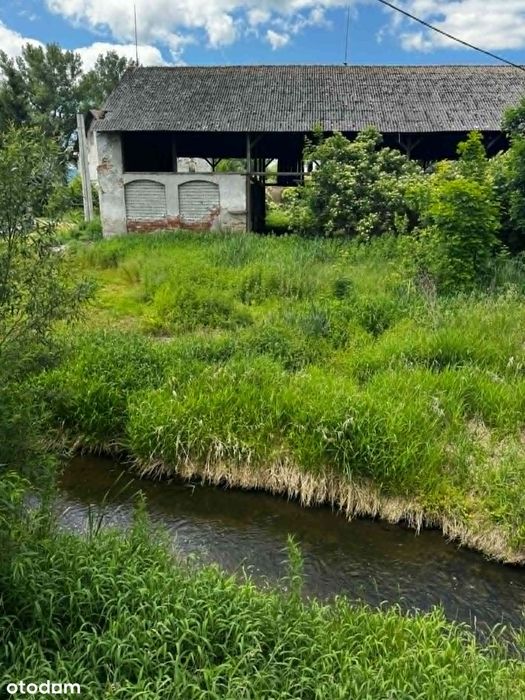 Zdjęcie 5