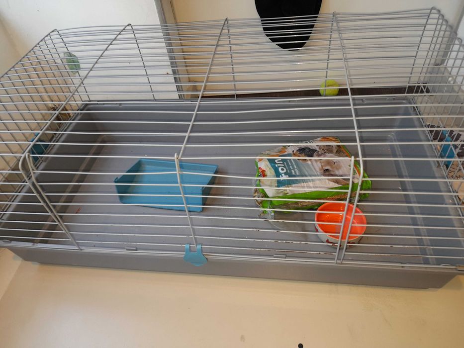 Gaiola para roedores grande